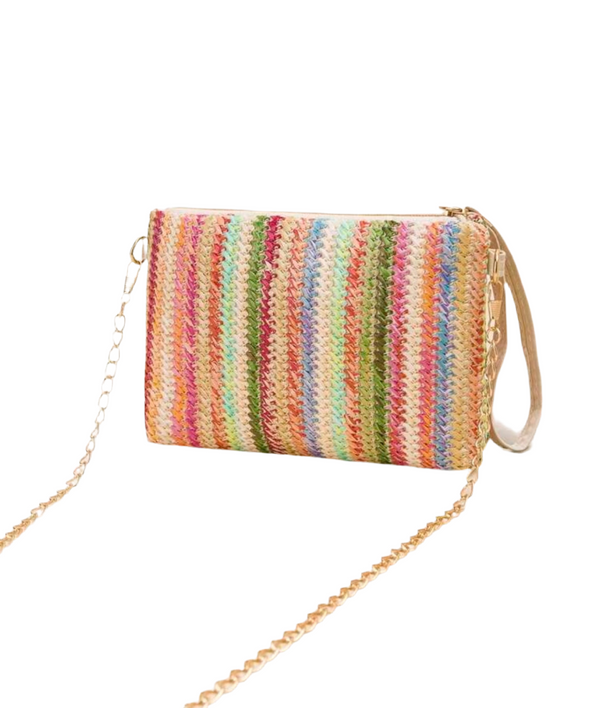 Multi Color Straw Zippered Bag