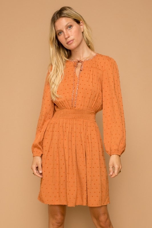 Woven Swiss Dot Dress